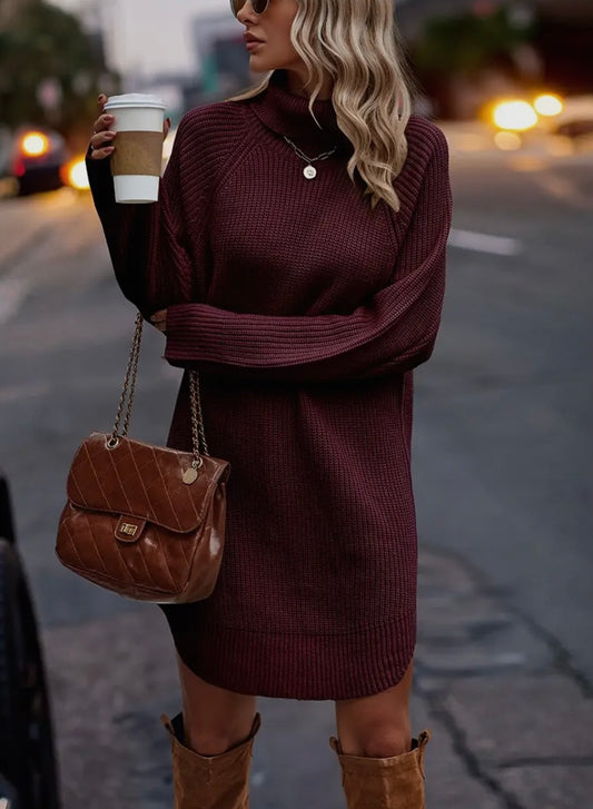 Thick Knit Roll Neck Loose Fit Sweater Dress